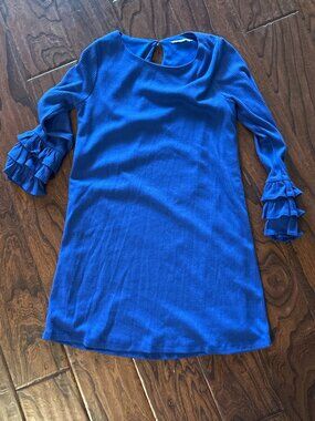 Blue Ruffle sleeve dress